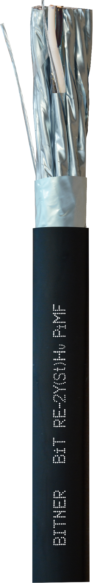 BiT RE-2Y(St)Hv PiMF, 300V